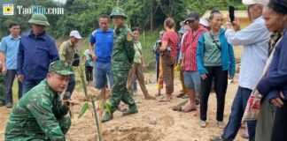 Mỹ Lý: Lũy Tre Giữ Đất Biên Cương – Hy Vọng Sau Mưa Lũ