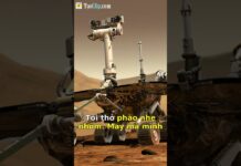 Số Lạ Gọi Đến Liên Tục? Cách Tôi Tránh Bẫy Lừa Đảo!