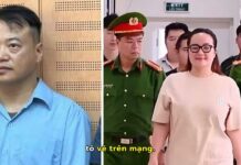 Shark Bình, Hoàng Hường Sụp Đổ: Cảnh Tỉnh Cho Giới Trẻ!