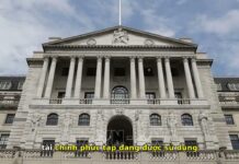 Ngân Hàng Trung Ương Anh Cảnh Báo: Con Chim Báo Bão Tài Chính Toàn Cầu?