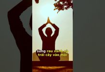 Top 10 Bí Quyết Vàng Để Sống Khỏe Mạnh Ngay Hôm Nay