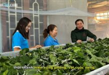 Kinh Tế Mới: Từ Vùng Đất Hoang Vu Đến No Ấm, Trù Phú