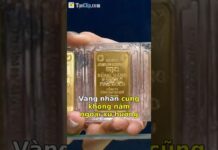 Giá vàng hôm nay: Sốc! Vàng bốc hơi gần 2 triệu đồng/lượng