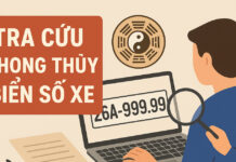 Khám phá ý nghĩa phong thủy biển số xe và cách tra cứu chuẩn xác tại Tracuuso.com